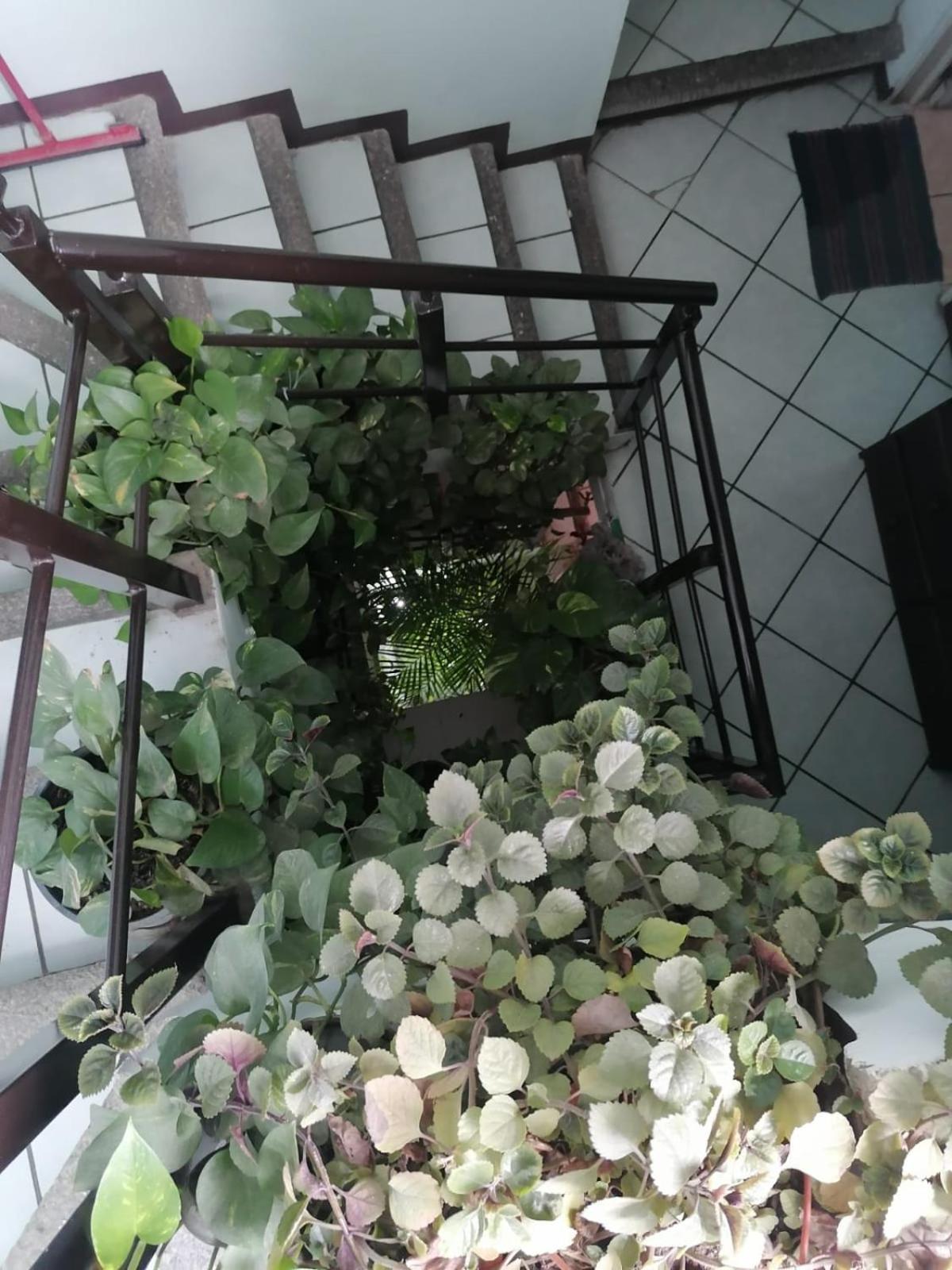 Casa Los Arcos Oaxaca ภายนอก รูปภาพ